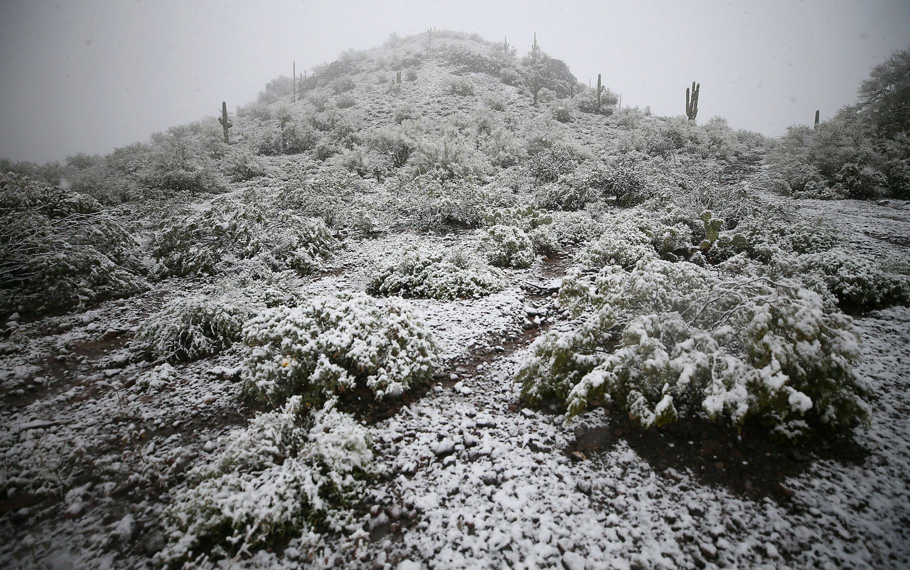 Snow across Tucson